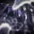 Ectoplasms
