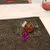 Open RPG Gaming Night